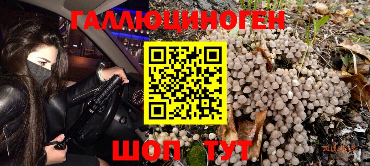 Галлюциногенные грибы MAGIC MUSHROOMS  Вход с VPN  Карачаевск 