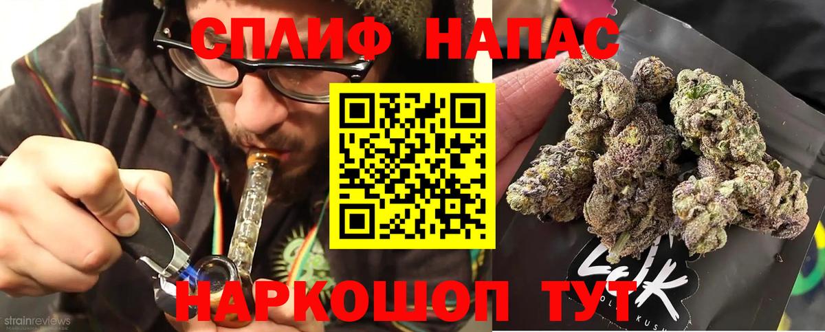 Шишки марихуана планчик Карачаевск